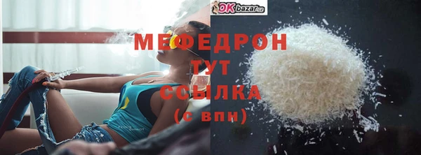spice Богородицк