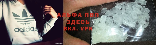 spice Богородицк