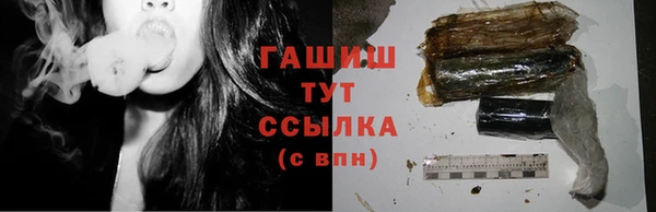 spice Богородицк