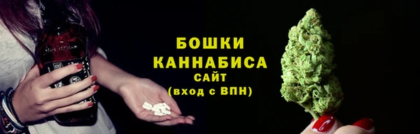 прущий лед Бородино
