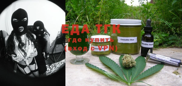 spice Богородицк