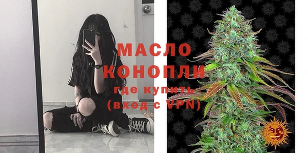 spice Богородицк