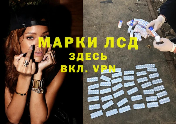 сатива Бугульма