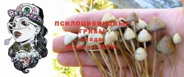 spice Богородицк