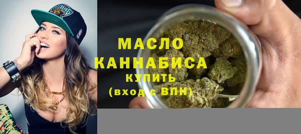 spice Богородицк