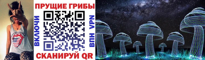 купить закладку  Шарья  Псилоцибиновые грибы мицелий 