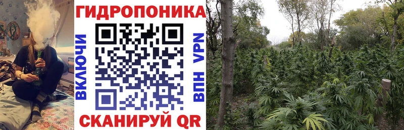 Конопля LSD WEED  Шарья 